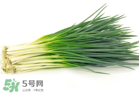 2017過年小蔥會(huì)漲價(jià)嗎？2017年春節(jié)小蔥價(jià)格預(yù)測