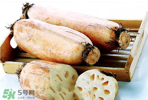 蓮藕多少錢一斤？蓮藕多少錢一斤2017？