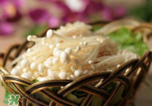 金針菇不能和什么一起吃？金針菇的食用禁忌