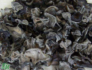 干木耳泡多久可以吃？干木耳泡了兩天還能吃嗎？