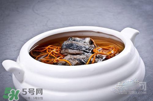 蟲草花怎么吃？蟲草花的吃法用量