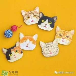 felissimo貓爪化妝棉多少錢？felissimo貓爪化妝棉哪里買？