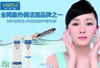 wis是哪個(gè)國(guó)家的品牌？wis是什么牌子？
