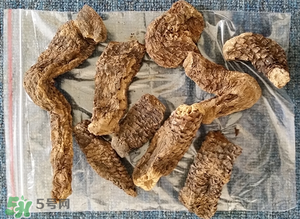 野生肉蓯蓉多少錢一斤？肉蓯蓉價(jià)格一斤多少錢？