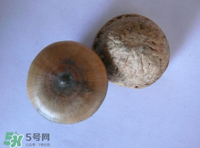 風(fēng)流果多少錢一斤？風(fēng)流果的價(jià)格