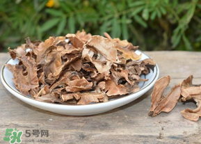 分心木真的能治失眠嗎？分心木治療失眠有奇效