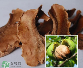 核桃分心木能長期喝嗎？核桃分心木一天喝幾次？