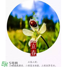 立春可以出門嗎？立春為什么不能出門？