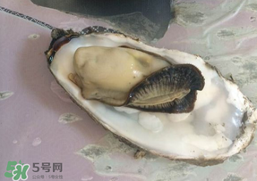 生蠔多少錢一斤？生蠔一斤有幾個？