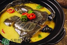 有乙肝可以吃甲魚嗎？乙肝患者禁吃甲魚