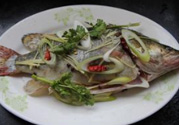桂魚蒸多長時間？桂魚水開后蒸多長時間？