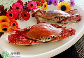 臘月吃什么蟹？臘月吃公蟹還是母蟹？