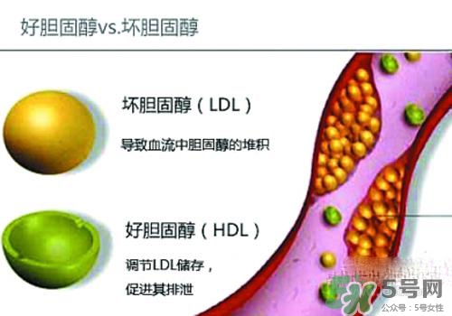 膽固醇高是血脂稠嗎？膽固醇高和血脂稠有什么聯(lián)系？