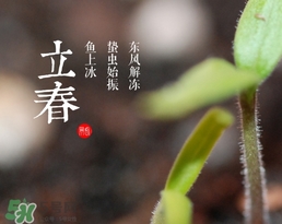 立春吃什么蔬菜？立春時令蔬菜推薦