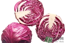 紫甘藍(lán)是轉(zhuǎn)基因食品嗎？紫甘藍(lán)是轉(zhuǎn)基因蔬菜嗎？