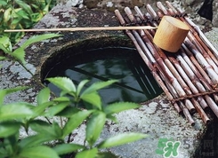 井華水是什么？井華水的含義
