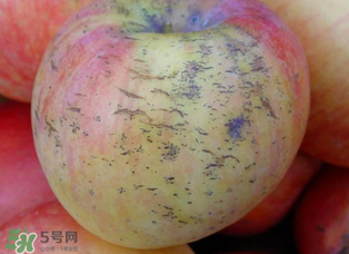 蘋(píng)果裂紋能吃嗎？蘋(píng)果裂紋是怎么回事？