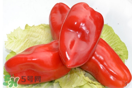 紅椒怎么保存？紅椒的儲存方法