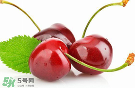 車?yán)遄涌梢詭巷w機(jī)嗎？車?yán)遄幽軒巷w機(jī)嗎？