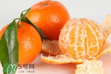 沙糖桔是熱性的嗎？沙糖桔是熱性還是涼性？