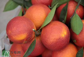 血橙多少錢(qián)一斤？四川血橙多少錢(qián)一斤？