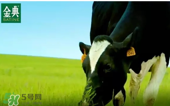 金典有機(jī)奶和特侖蘇哪個(gè)好？金典有機(jī)奶和特侖蘇對(duì)比