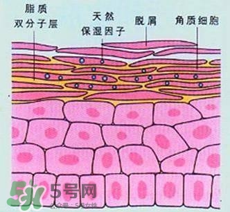 敷面膜真的有效嗎？敷面膜真的有用嗎？