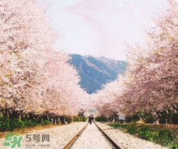 3月份去韓國穿什么？三月份去韓國穿什么衣服？