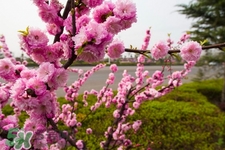 春天養(yǎng)生湯有哪些？春季養(yǎng)生喝什么湯好？