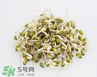 黃豆芽能做餡料嗎？黃豆芽餡包子怎么做？