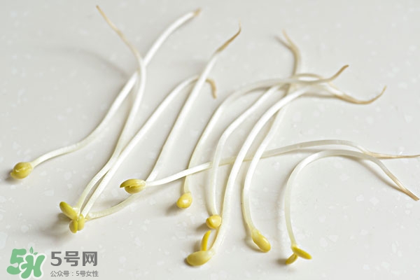 黃豆芽能做餡料嗎？黃豆芽餡包子怎么做？