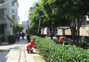 春天吃什么養(yǎng)肝？春季吃什么養(yǎng)肝護肝？