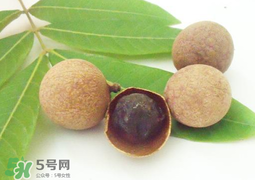 桂圓干多少錢一斤？干桂圓多少錢一斤？