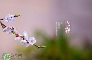 立春后種什么花？立春時開的花有哪些？