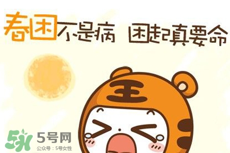 春困煲什么湯好？春困煮什么湯好的快？