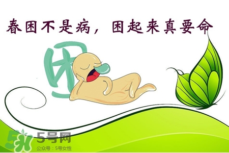 春困煲什么湯好？春困煮什么湯好的快？