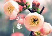 立春后種什么花？立春時(shí)開的花有哪些？