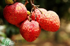 吃荔枝會(huì)過(guò)敏嗎？吃荔枝過(guò)敏怎么辦？