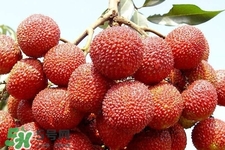 孕期吃荔枝會(huì)流產(chǎn)嗎？孕婦吃荔枝會(huì)好嗎？