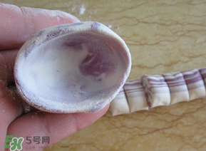 湯圓皮怎么做不破裂？湯圓皮怎么做耐煮？