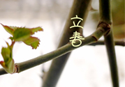 為什么春天容易生?。看禾烊菀咨裁床。?></a>
<p class=