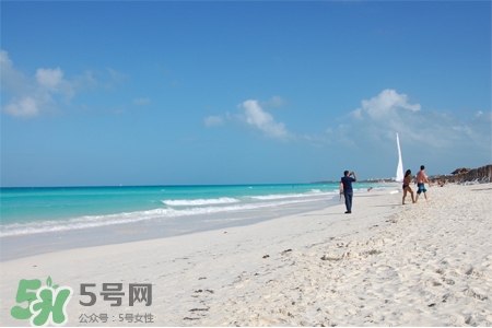 3月份適合去哪里旅游？三月份去哪里旅游好？