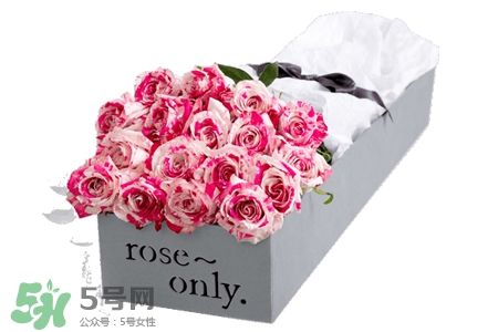 roseonly是什么花？roseonly是真花還是假花？