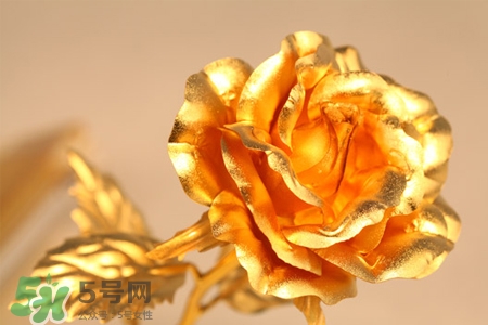 情人節(jié)可以送金玫瑰嗎？情人節(jié)送金玫瑰好嗎？