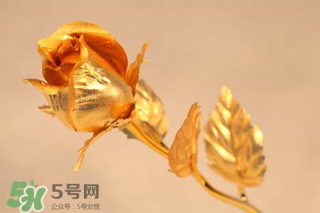 情人節(jié)可以送金玫瑰嗎？情人節(jié)送金玫瑰好嗎？