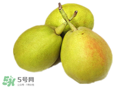 香梨多少錢一斤？香梨怎么挑選？