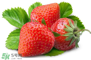 小孩多吃草莓好嗎？小孩可以摘草莓嗎？