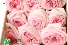 鮮花怎么養(yǎng)？鮮花怎么養(yǎng)放的比較久？