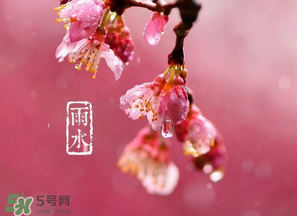 雨水吃什么？雨水節(jié)氣飲食禁忌？