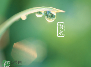 雨水吃什么？雨水節(jié)氣飲食禁忌？